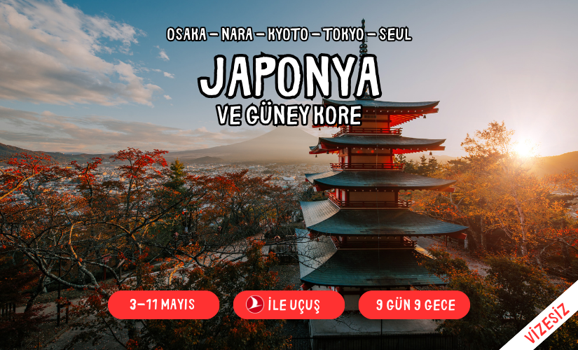 JAPONYA WEB SİTE